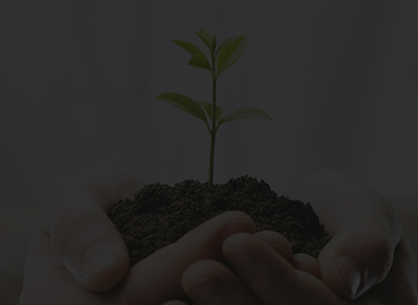 中国十大娱乐赌博城网址 - 十大最新赌博正规网址